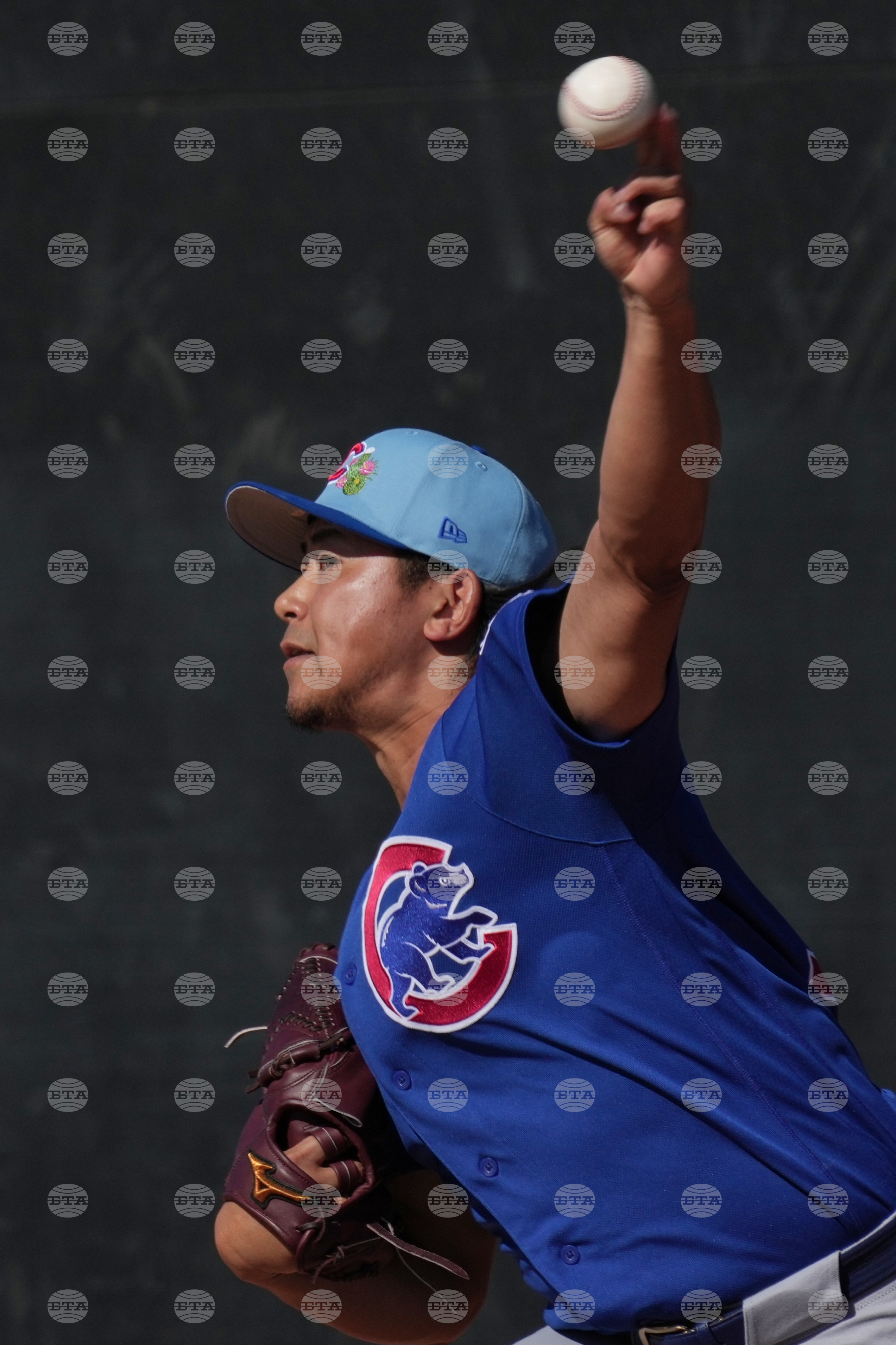 Cubs Spring Baseball