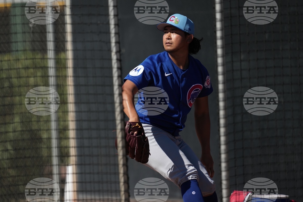 Cubs Spring Baseball