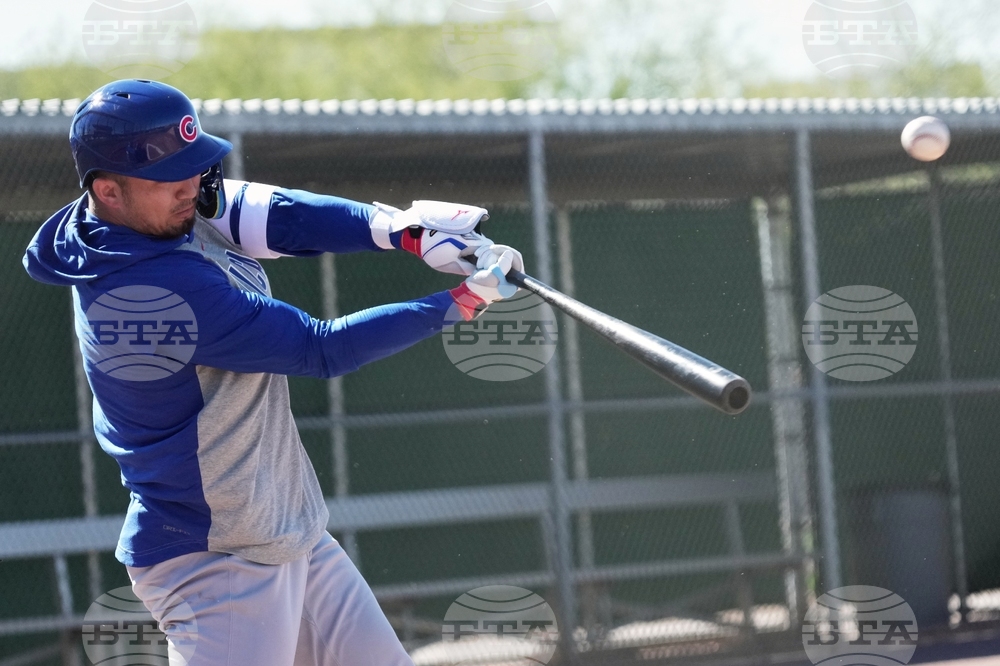 Cubs Spring Baseball