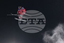 Milan Cortina Olympics Freestyle Skiing