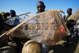 Nigeria Argungu Fishing Festival