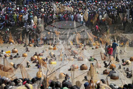 Nigeria Argungu Fishing Festival