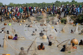 Nigeria Argungu Fishing Festival
