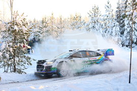 Sweden Rally Auto Racing