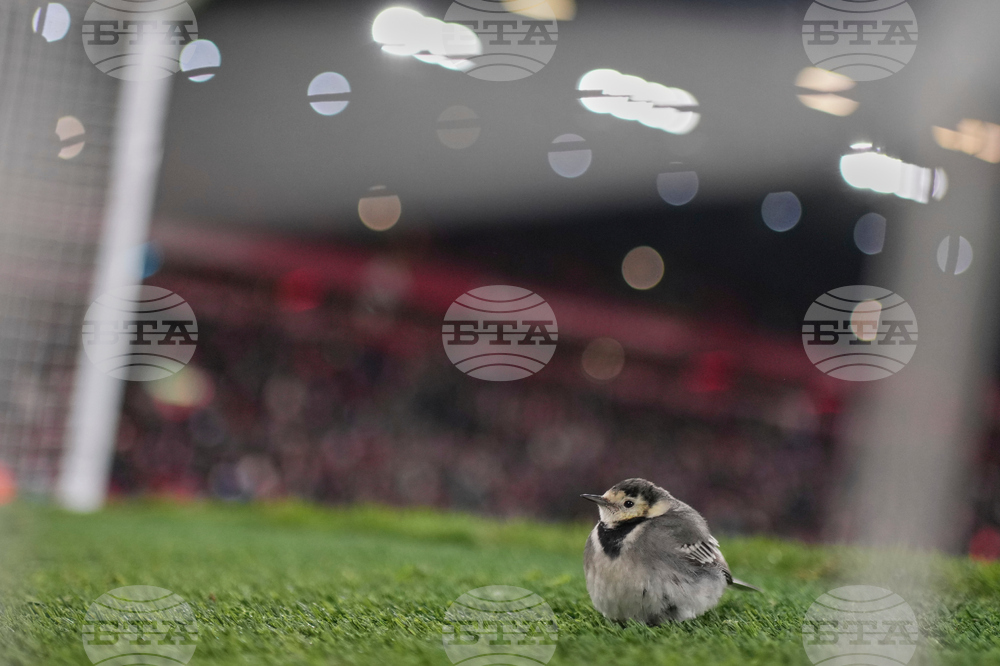 Britain FA CUP Soccer