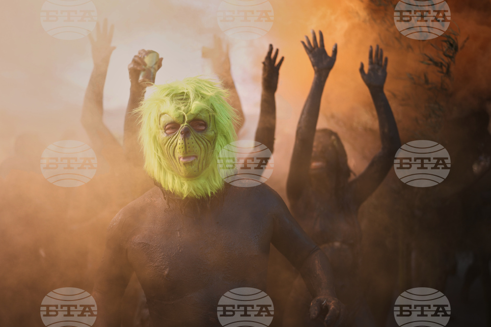 APTOPIX Brazil Carnival