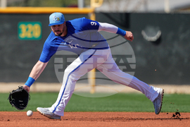 Royals Spring Baseball