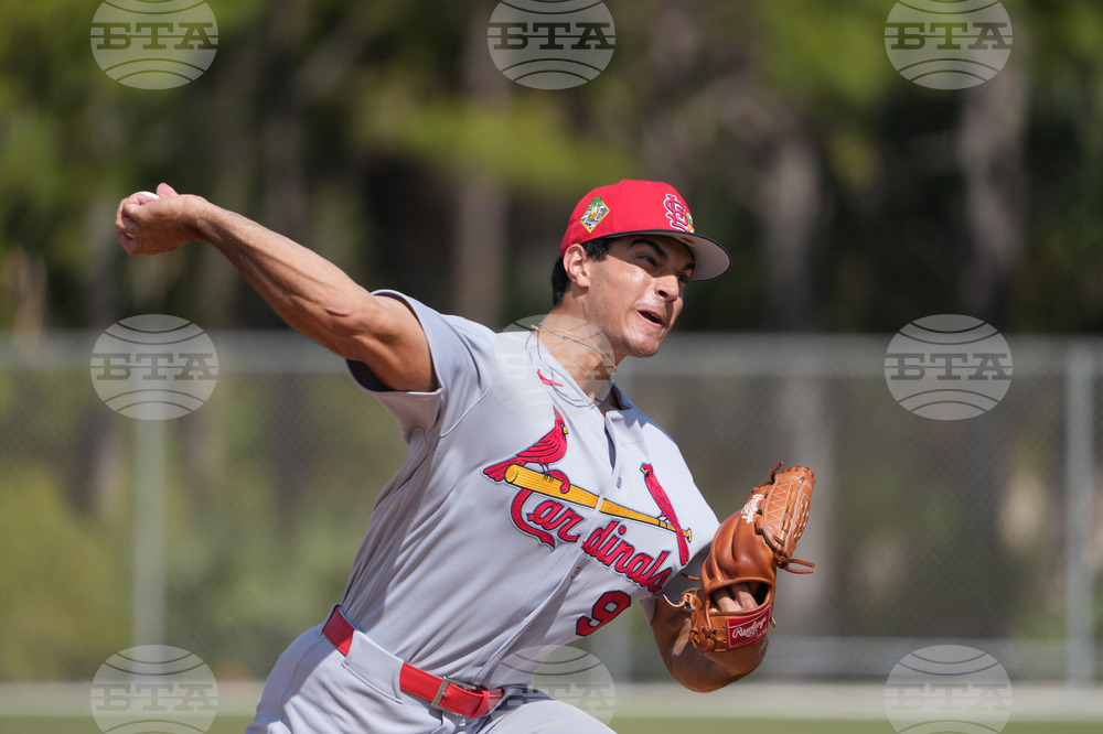 Cardinals Spring Baseball