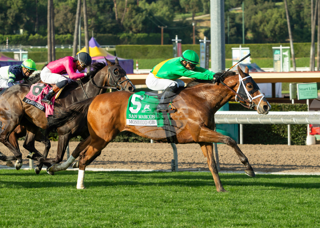 Santa Anita Horse Racing