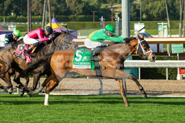 Santa Anita Horse Racing