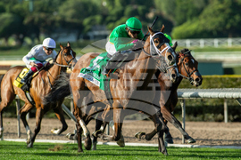 Santa Anita Horse Racing