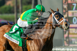 Santa Anita Horse Racing