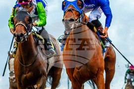 Fair Grounds Horse Racing