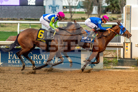 Fair Grounds Horse Racing