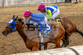 Fair Grounds Horse Racing