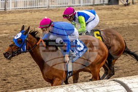 Fair Grounds Horse Racing