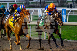 Fair Grounds Horse Racing