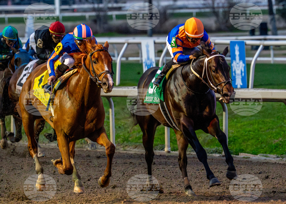 Fair Grounds Horse Racing