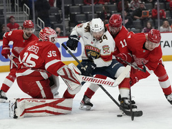 Panthers Red Wings Hockey