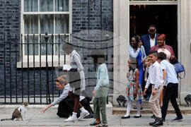 Britain Larry The Cat Photo Gallery