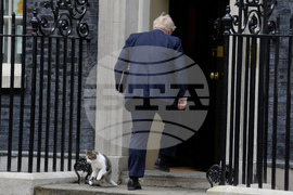 Britain Larry The Cat Photo Gallery