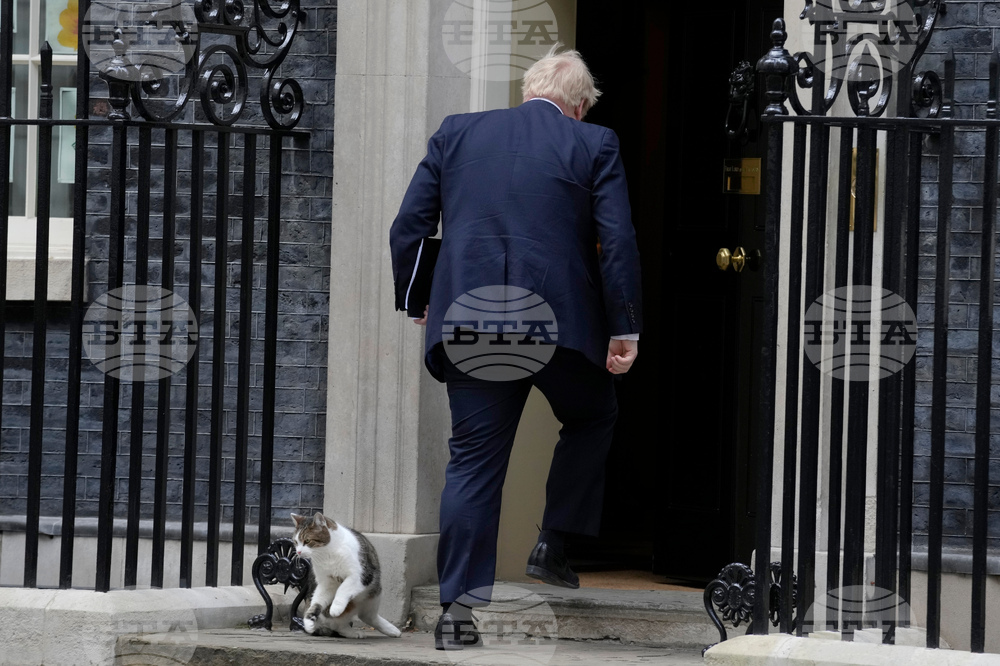 Britain Larry The Cat Photo Gallery