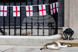 Britain Larry The Cat Photo Gallery