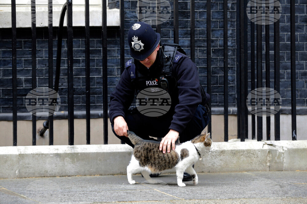 Britain Larry The Cat Photo Gallery