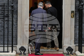 Britain Larry The Cat