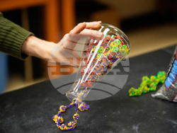 Biodegradable Mardi Gras Beads
