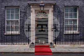 Britain Larry The Cat