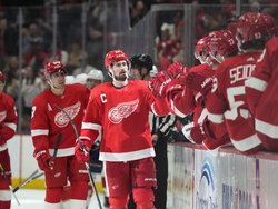 Panthers Red Wings Hockey