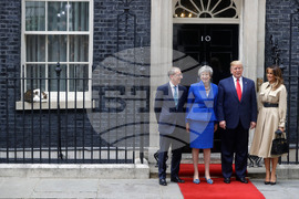 Britain Larry The Cat