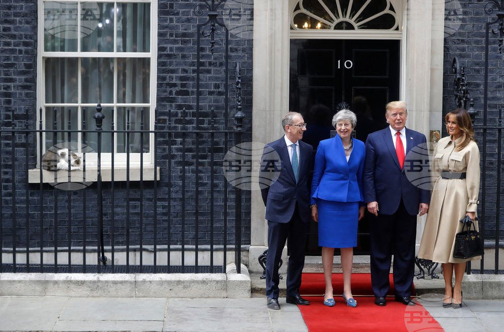 Britain Larry The Cat