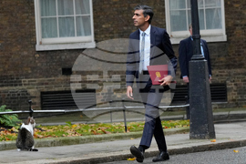 Britain Larry The Cat Photo Gallery