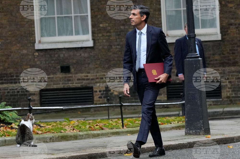 Britain Larry The Cat Photo Gallery