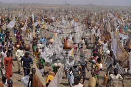 Nigeria Argungu Fishing Festival