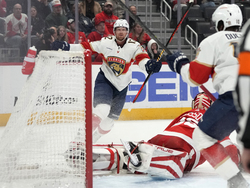 Panthers Red Wings Hockey