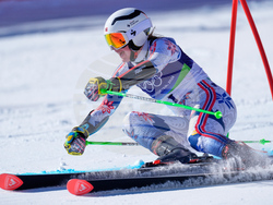 Milan Cortina Olympics Alpine Skiing