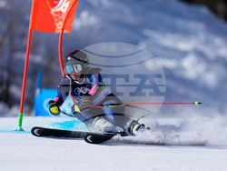 Milan Cortina Olympics Alpine Skiing