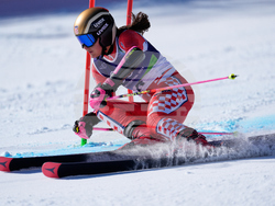 Milan Cortina Olympics Alpine Skiing