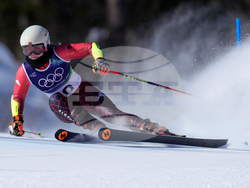 Milan Cortina Olympics Alpine Skiing