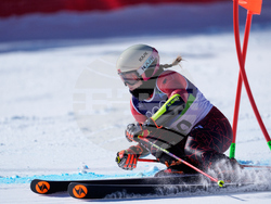 Milan Cortina Olympics Alpine Skiing