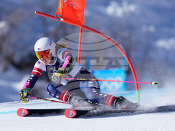 Milan Cortina Olympics Alpine Skiing