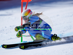 Milan Cortina Olympics Alpine Skiing