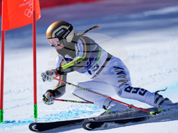 Milan Cortina Olympics Alpine Skiing