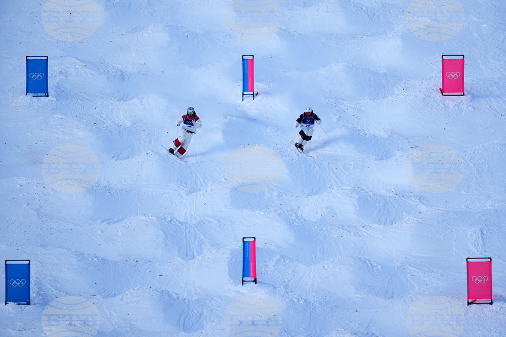 Milan Cortina Olympics Freestyle Skiing