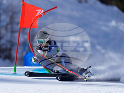 Milan Cortina Olympics Alpine Skiing