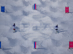 Milan Cortina Olympics Freestyle Skiing