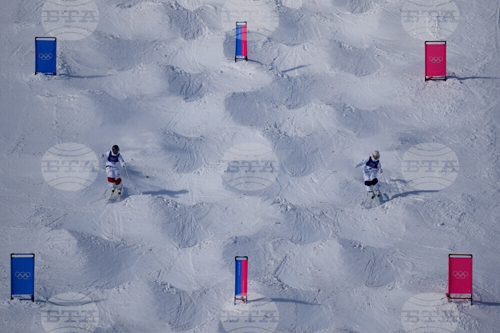 Milan Cortina Olympics Freestyle Skiing